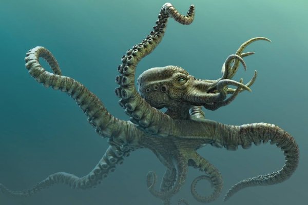 Kraken как найти ссылку