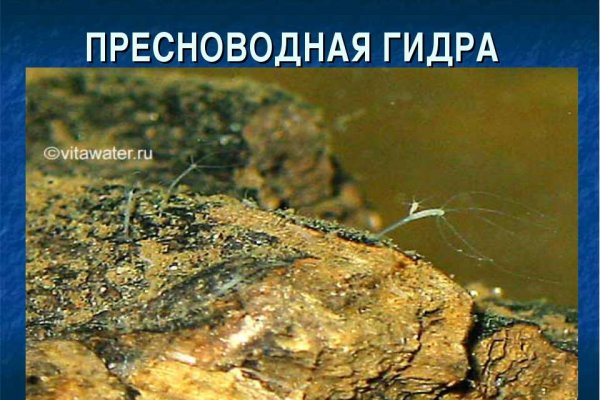 Сайт kraken darknet