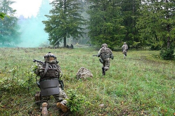 Актуальное зеркало на кракен