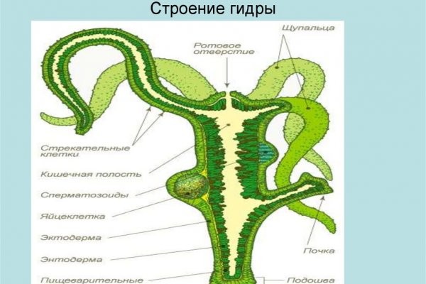 Как подключиться к даркнету
