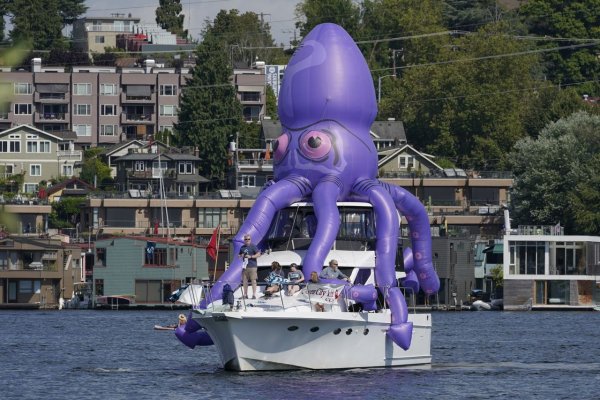 Kraken tor onion зеркало
