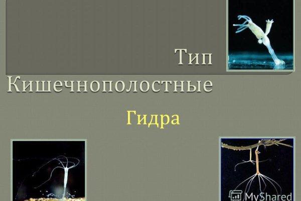 Кракен маркет тор