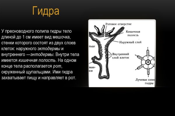 Kraken russia