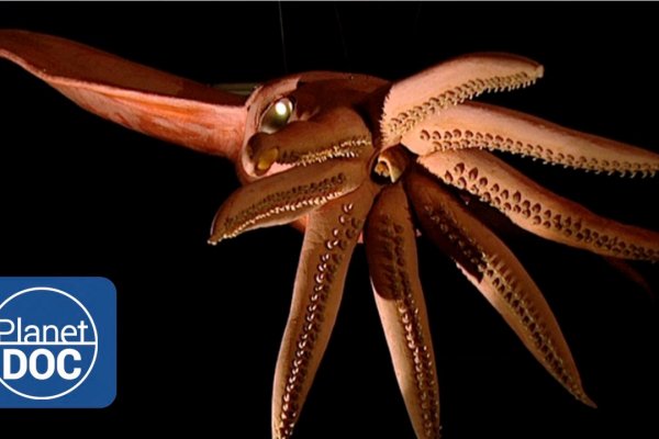 Kraken магазин интернет